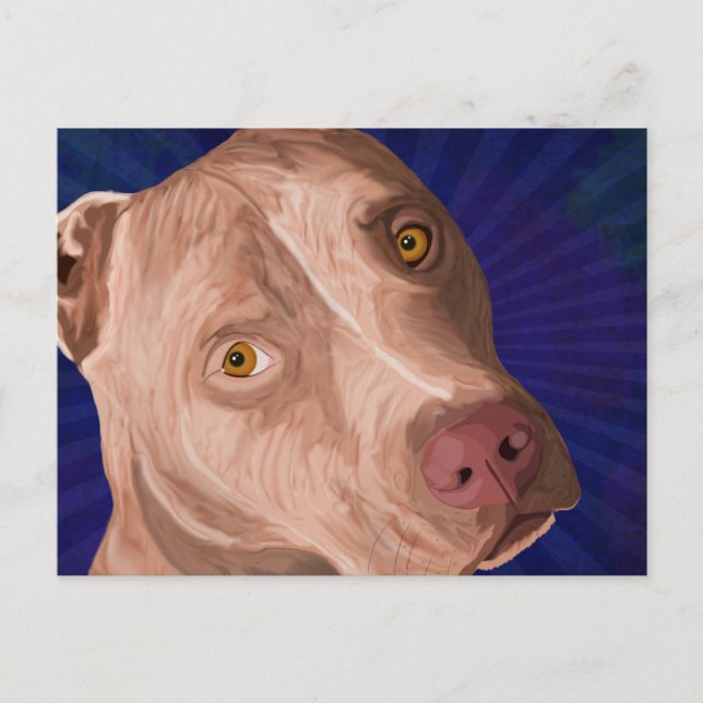 Red Nose Pit Bull with a Blue Background Postcard (Front)