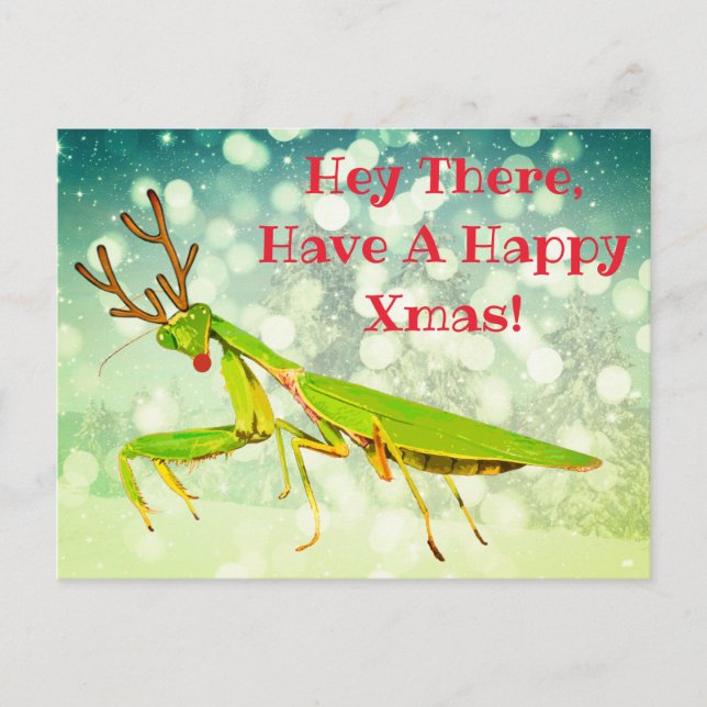 Red Nosed Praying Mantis Weird Christmas Postcard (Front)