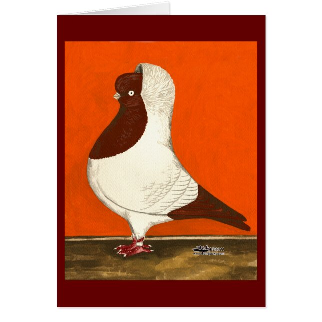 Red Nun Pigeon (Front)