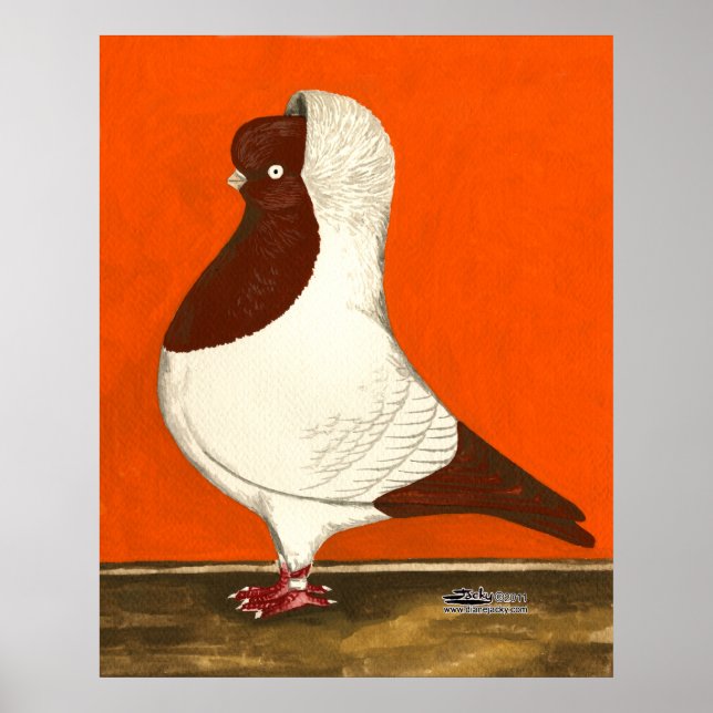 Red Nun Pigeon Poster (Front)