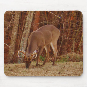Red Oak Camouflage Stag Buck Deer Feeding Mouse Pad