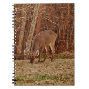 Red Oak Camouflage Stag Buck Deer Feeding Spiral Notebook