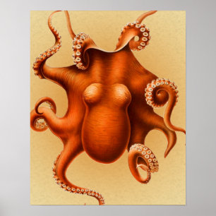Red Octopus Cephalopod Vintage Kraken Design Poster