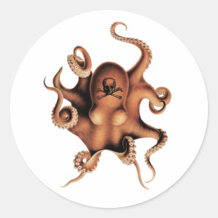 Red  octopus classic round sticker