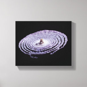 Red Onion Portrait Canvas Print