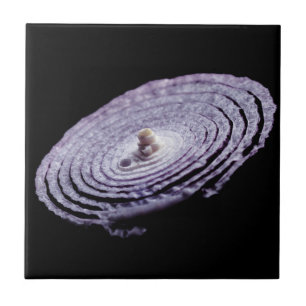 Red Onion Portrait Tile