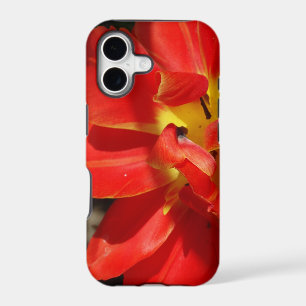 Red Open Flower Tulip Blossom Photo