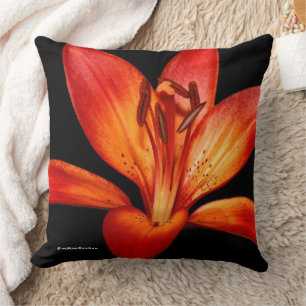 Red Orange Asiatic Lilies Gran Paradiso Cushion