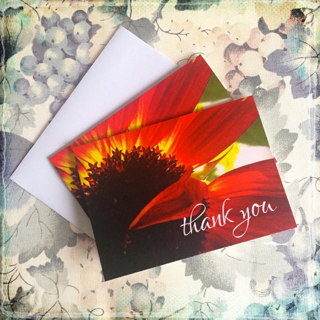 Red orange daisy chic photo thank you note card (Creator Uploaded)