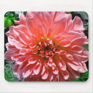 Red Orange Dhalia Flower Mousepad