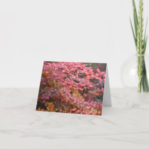 Red Orange Fall Foliage Autumn Leaves Nature Photo Card