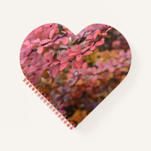 Red Orange Fall Foliage Autumn Leaves Nature Photo Notebook