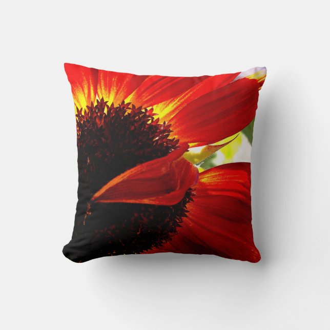 Red Orange Gerbera Daisy Photo Modern Bold Stylish Cushion (Front)