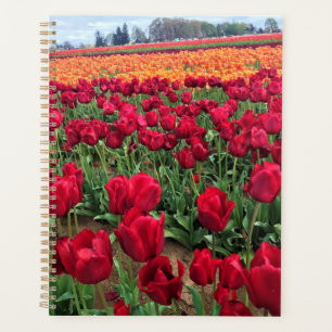 Red & Orange Tulip Field, Oregon Planner