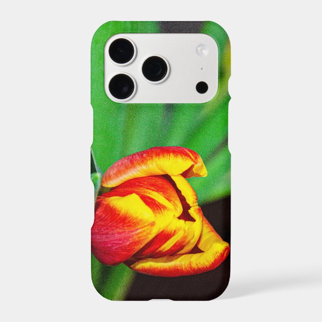 Red Orange Tulips iPhone Case  (Back)