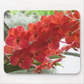 RED ORCHID MOUSE PAD