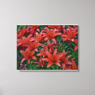 Red Orchids Canvas Print