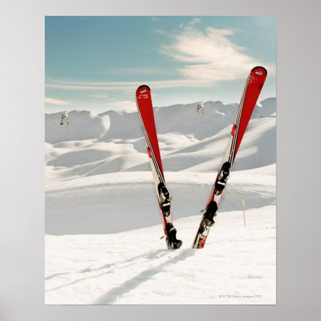Red pair of ski standing in snow poster (Front)
