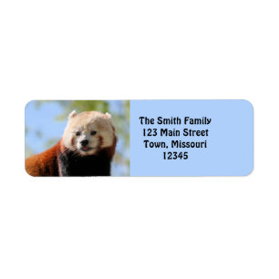 Red Panda