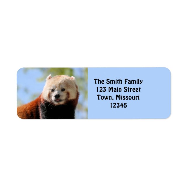 Red Panda (Front)