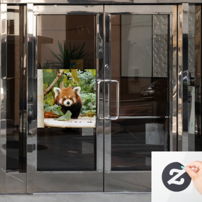 Red Panda (Office Door)