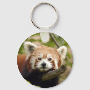 red-panda-005 key ring