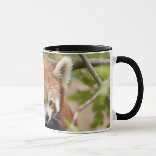 red-panda-023 mug (Right)