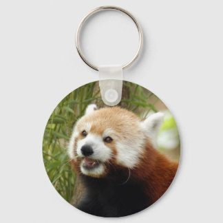 red-panda-033 key ring
