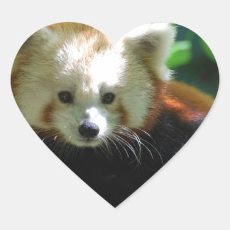 red-panda-11.jpg heart sticker