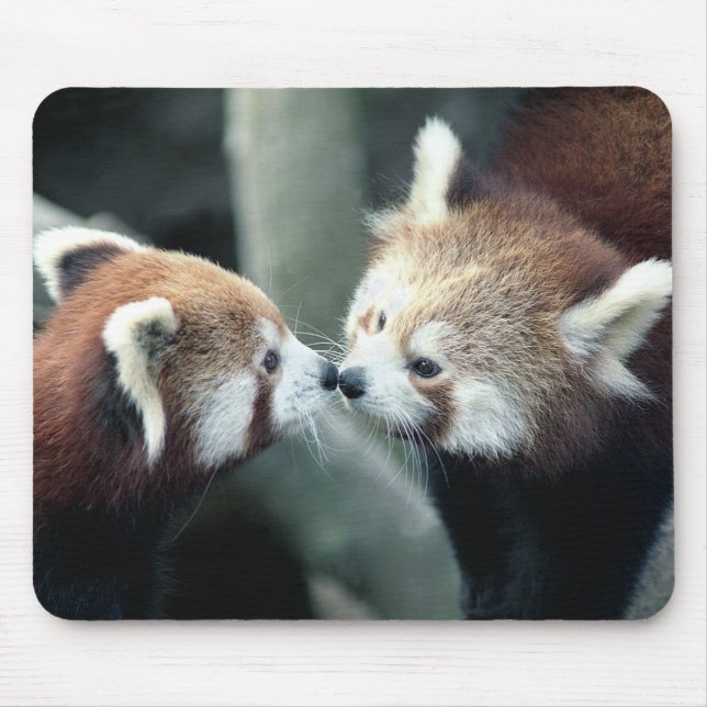 Red Panda #1-Mousepad Mouse Pad (Front)