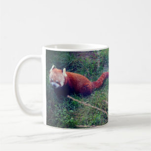 Red Panda #1 Mug