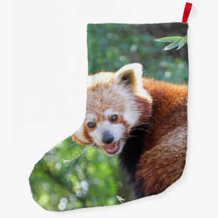 Red_Panda_2015_0306 Large Christmas Stocking