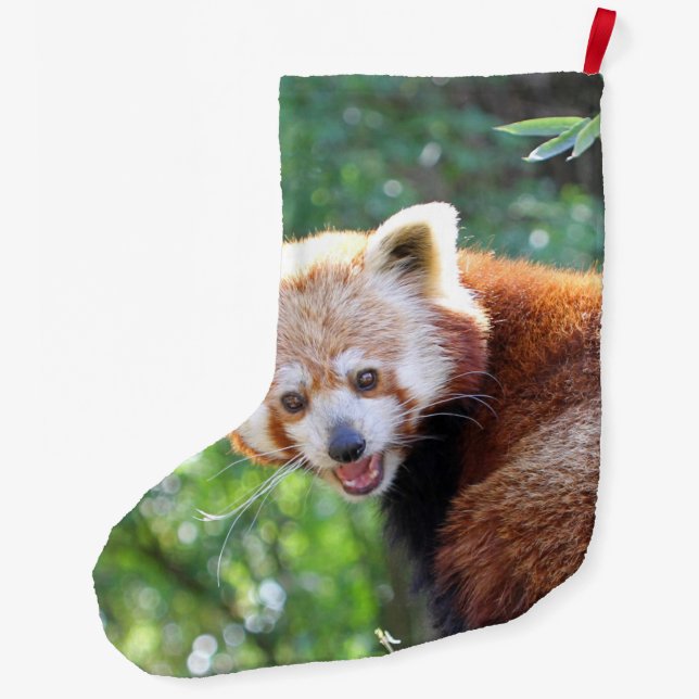 Red_Panda_2015_0306 Large Christmas Stocking (Back)