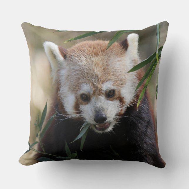Red_Panda_2015_0311 Cushion (Front)