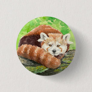 Red panda 3 cm round badge