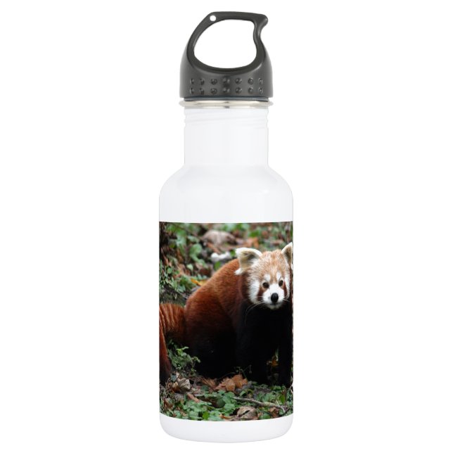 Red Panda 532 Ml Water Bottle (Front)