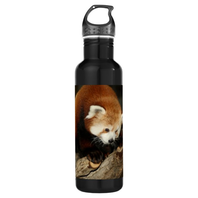 Red Panda 710 Ml Water Bottle (Front)