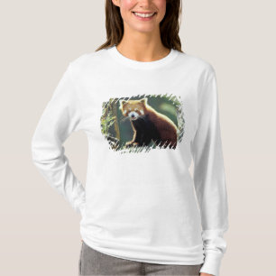 Red Panda Ailurus fulgens) T-Shirt