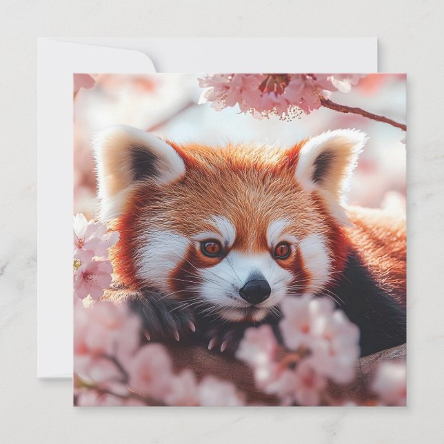 Red Panda Among Cherry Blossoms  Holiday Card (Front)