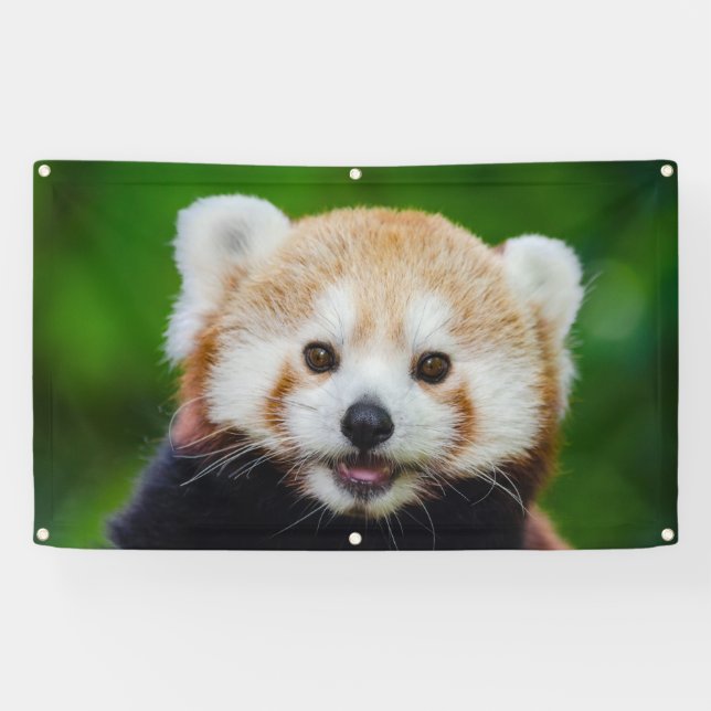 RED PANDA Banner WITH GROMMETS (Horizontal)