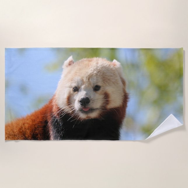 Red Panda   Beach Towel (Front)