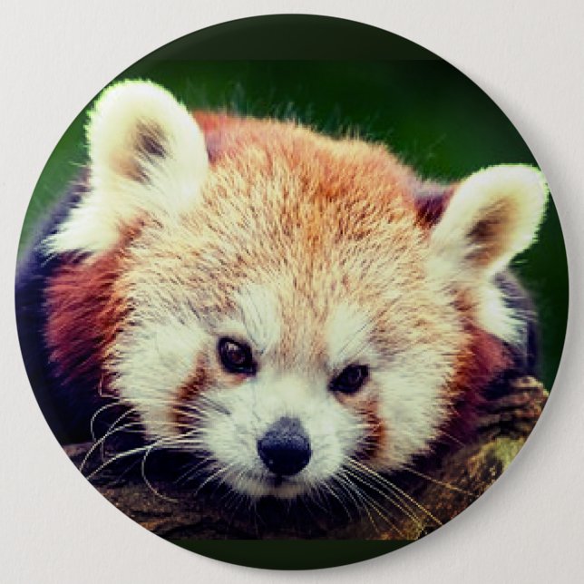 Red panda button (Front)