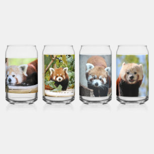 Red Panda Can Glass