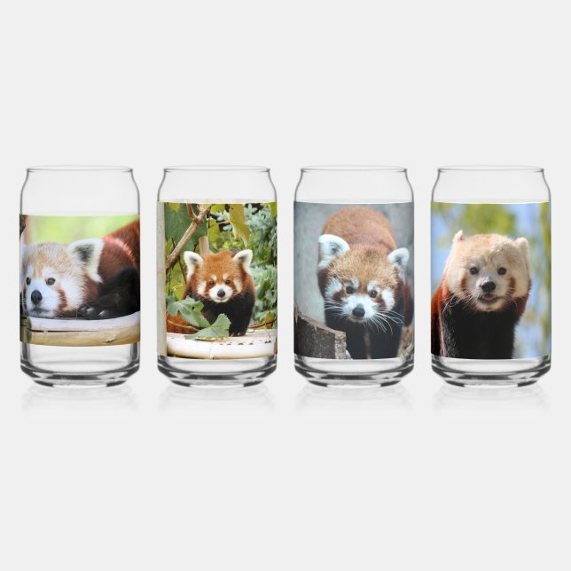 Red Panda Can Glass (Front)