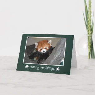 Red Panda Card