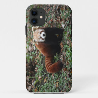Red panda Case-Mate iPhone case