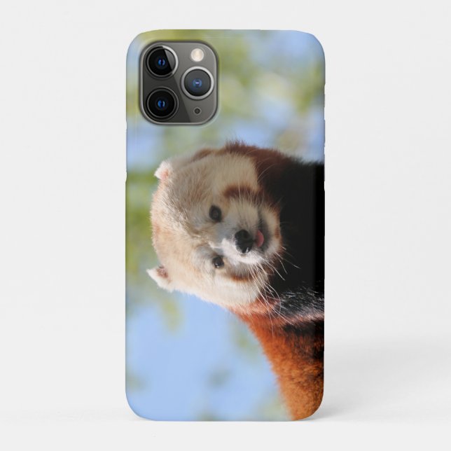 Red Panda    Case-Mate iPhone Case (Back)