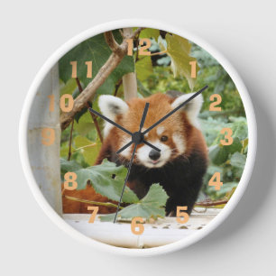 Red Panda Clock
