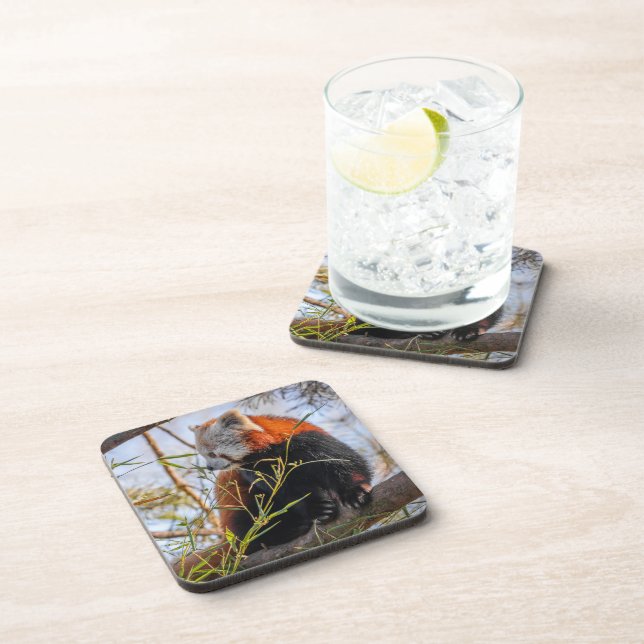 Red panda coaster (Right Side)