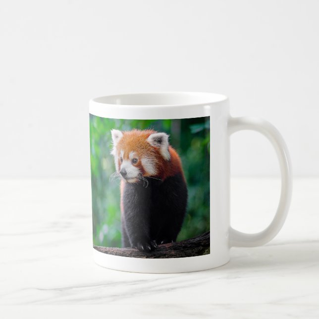 Red Panda Coffee Mug (Right)